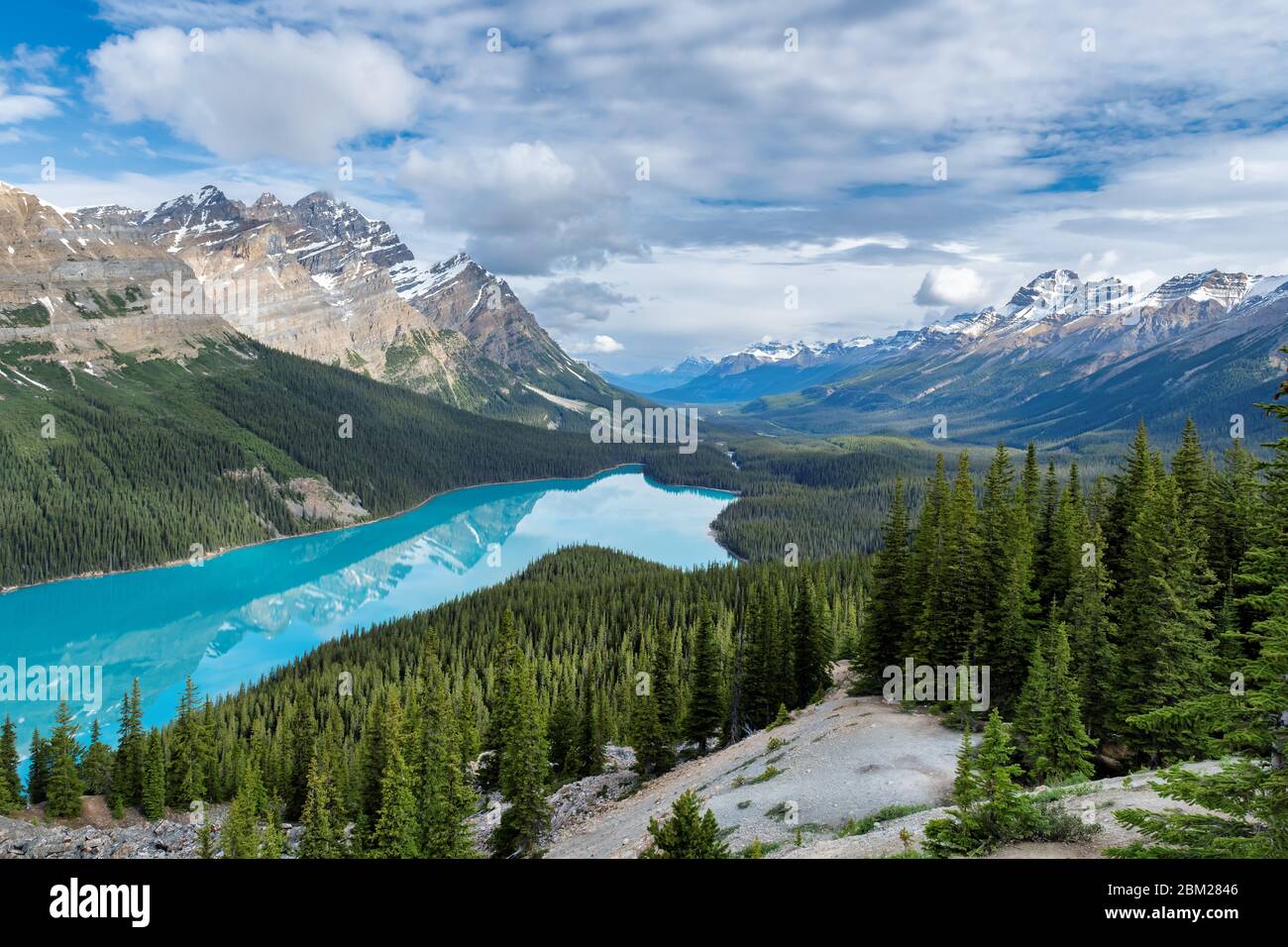Peyto Lake in Banff National Park, Canada Stock Photo - Alamy