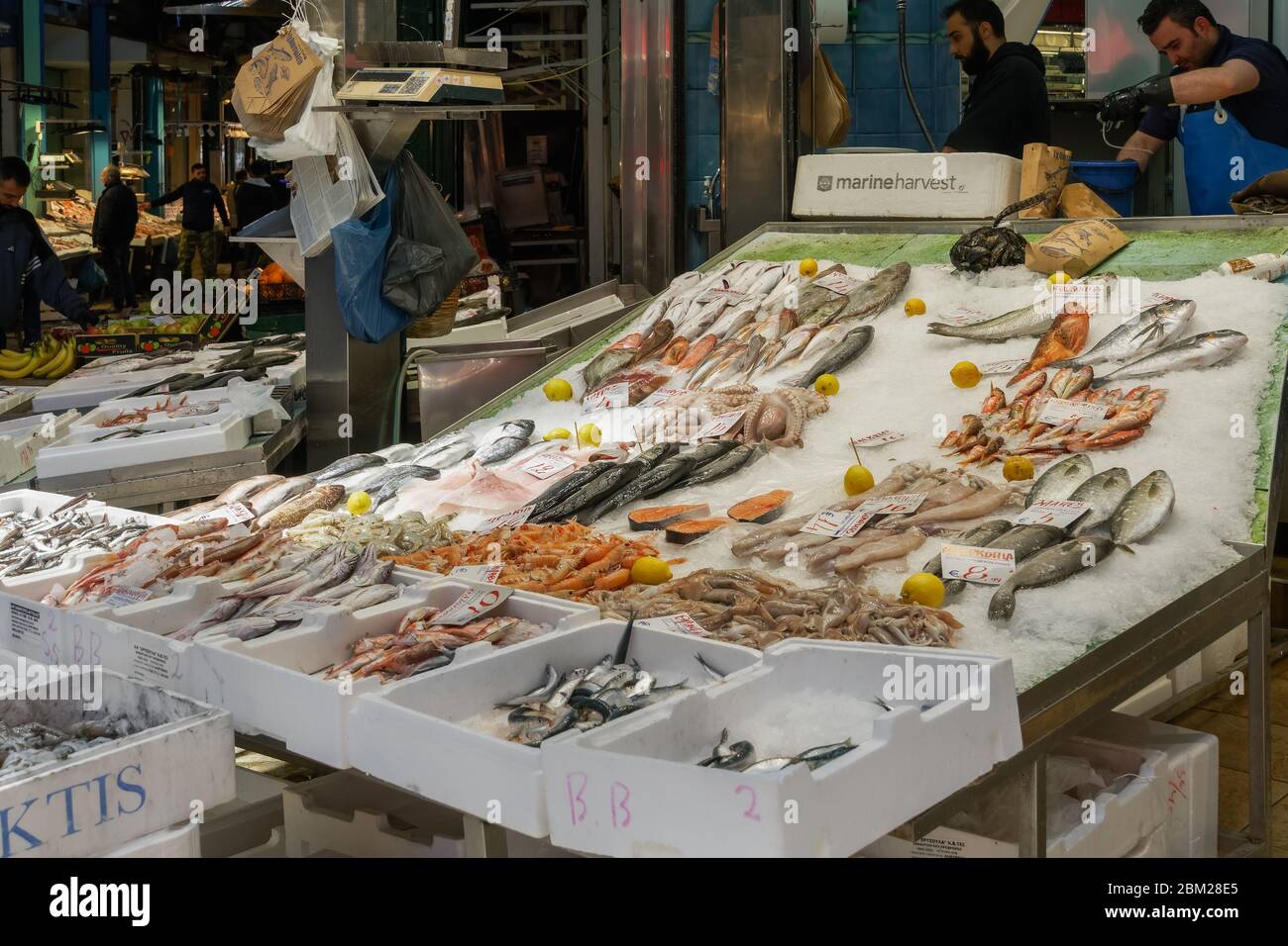 Thessaloniki, Greece Seafood counter with prices in Euros at Kapani covered market. Shops selling fresh raw fish arranged on ice. Stock Photo