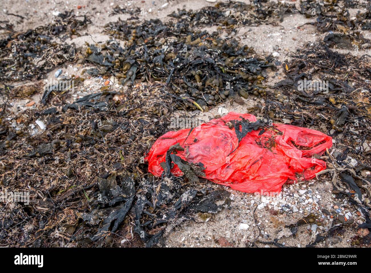 Used red plastic bag on sandy beach background. Stock Photo