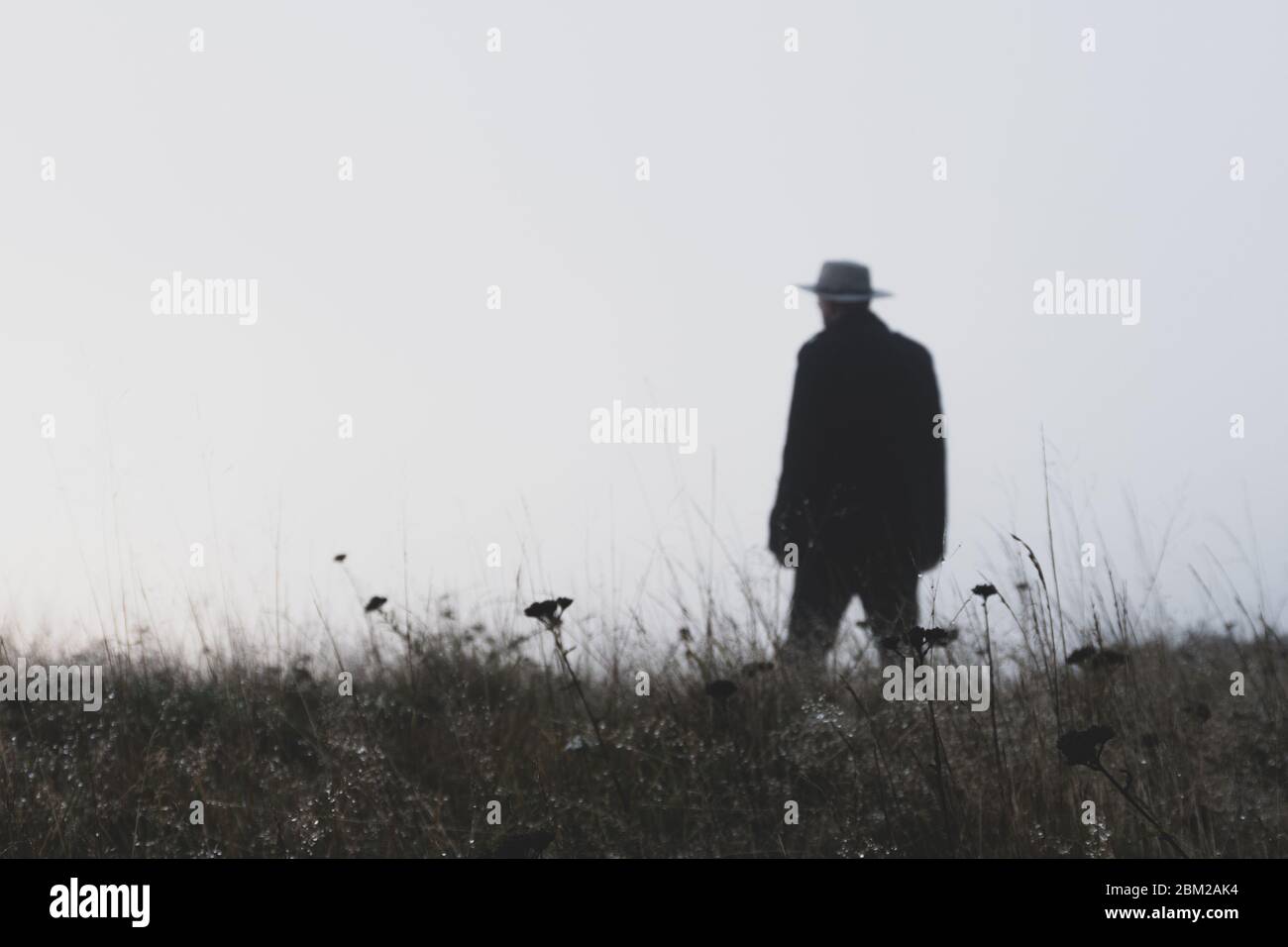 A man wearing a fedora hat standing out of focus on a misty winters day Stock Photo