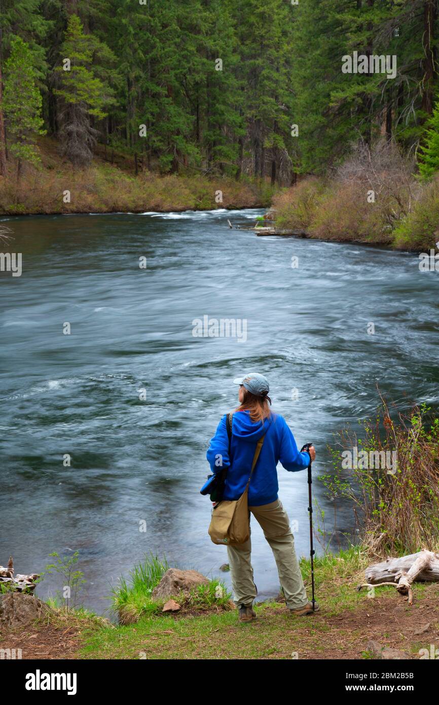 Metolius Wild and Scenic River, Deschutes National Forest, Oregon Stock Photo