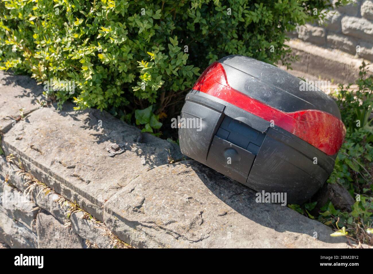 Close up red bushes in hi-res stock photography and images - Alamy