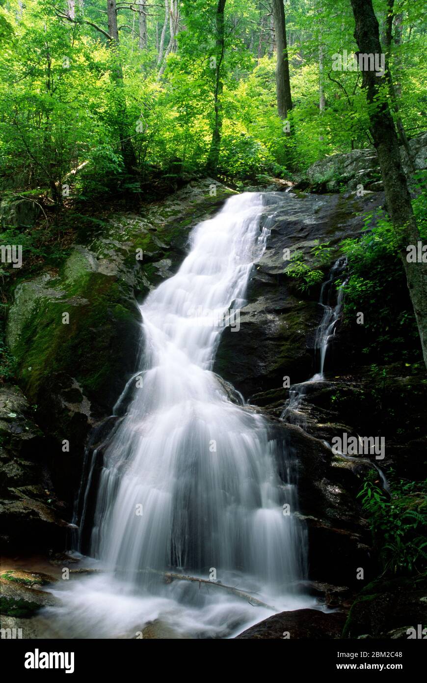 washington national forest hires stock photography and images