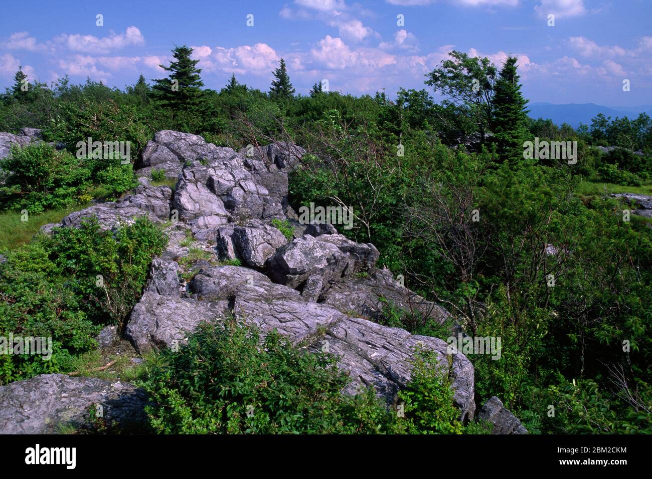 Little Pinnacle, Grayson Highlands State Park, Virginia Stock Photo