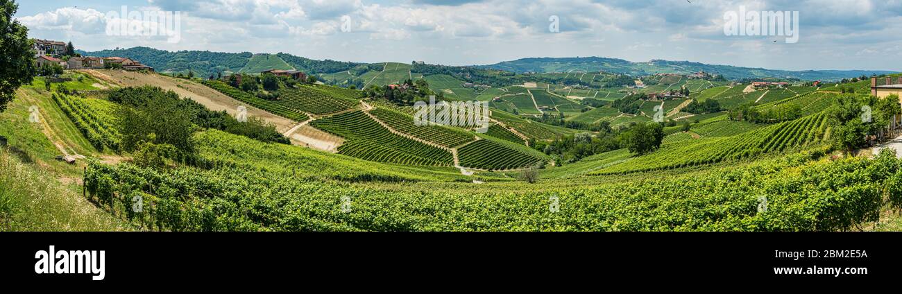 Panoramic view over the hills and vineyards in piedmont close to Serralunga D'Alba Stock Photo