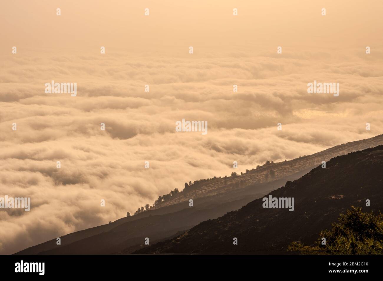 Scenic tree silhouette hi-res stock photography and images - Alamy