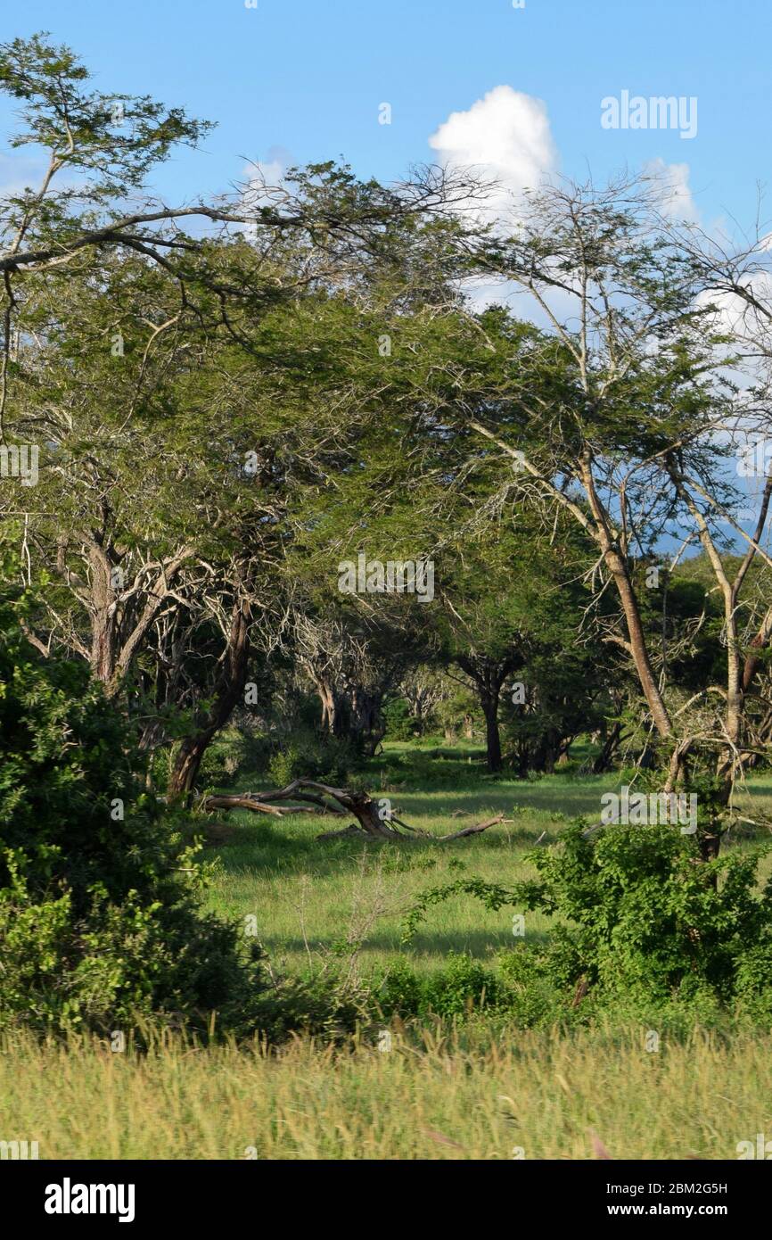 Aberdare ranges hi-res stock photography and images - Alamy