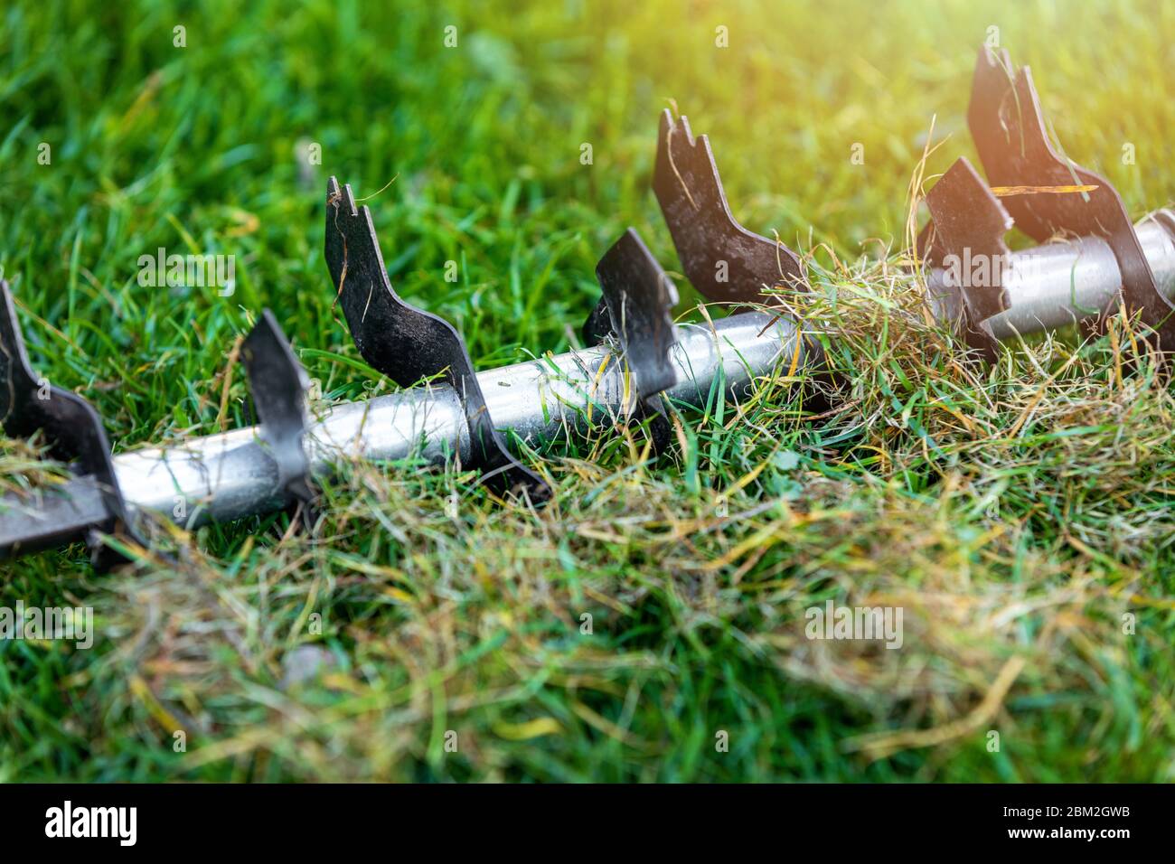 lawn care - old grass removal and soil aeration with scarifier Stock Photo