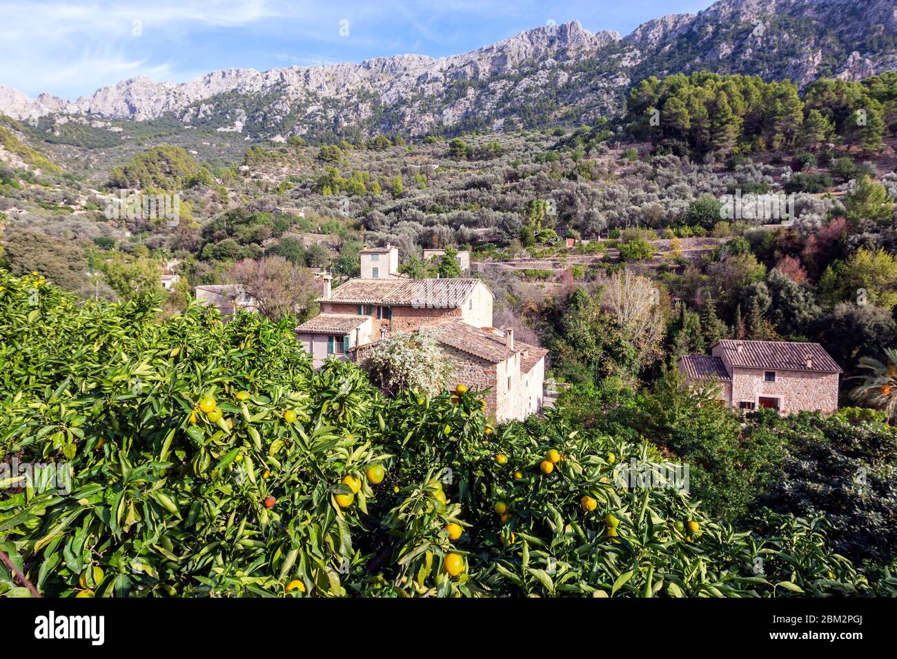 Miorca Raves Fornalutx, Majorca (Mallorca), Balearic Islands, Spain Stock Photo - Alamy