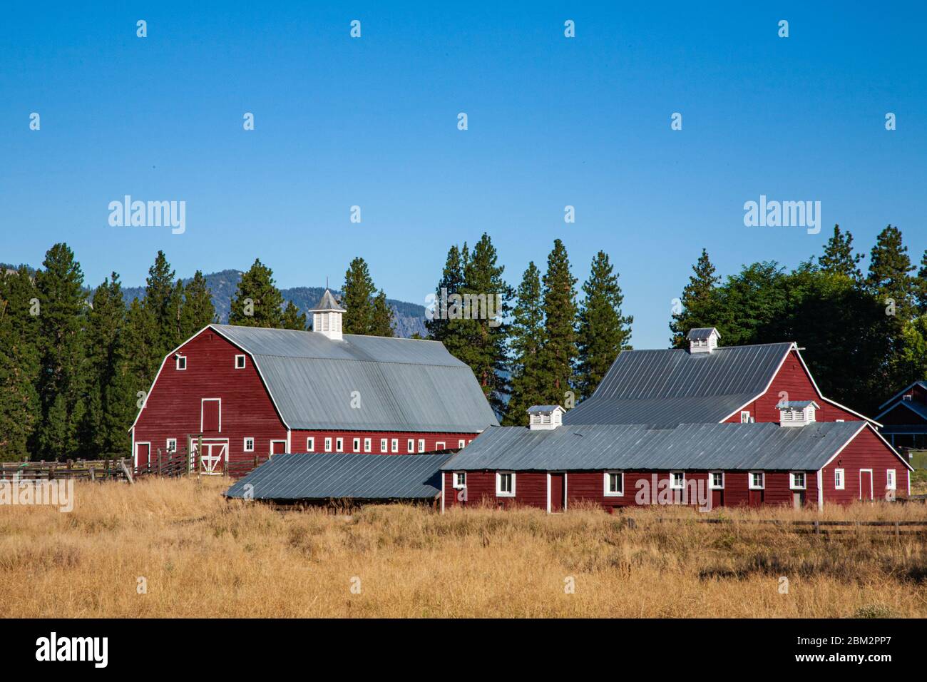 Red Barn In A Dry Grass Field In Northern Washington State Stock Photo Alamy Red Barn In A Dry Grass Field In Northern Washington State Stock Photo Alamy
