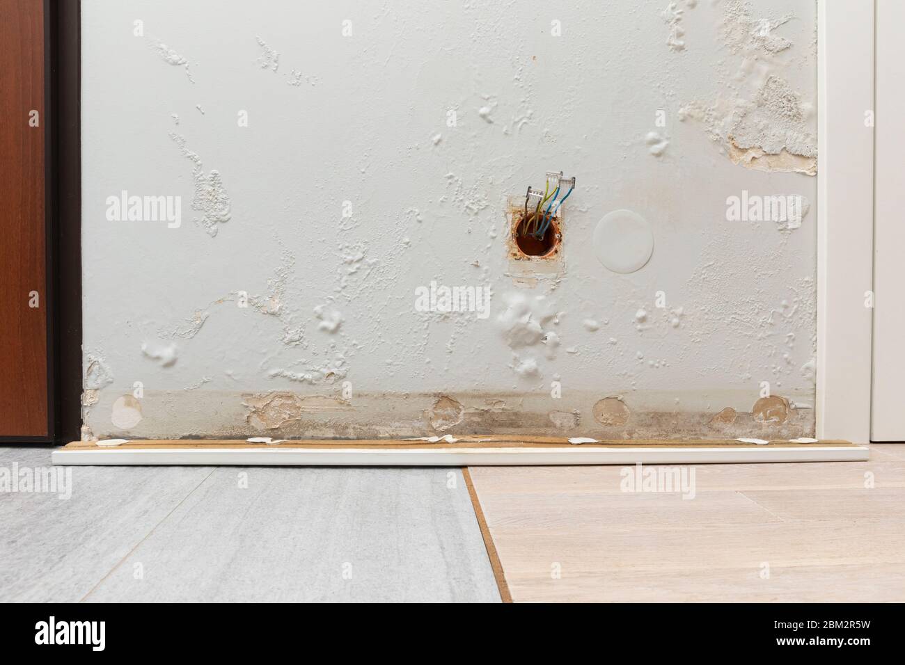 Fungus on the wall in a freshly renovated apartment. Poor waterproofing. Problem in rainy, it's moisture on the wall. Stock Photo