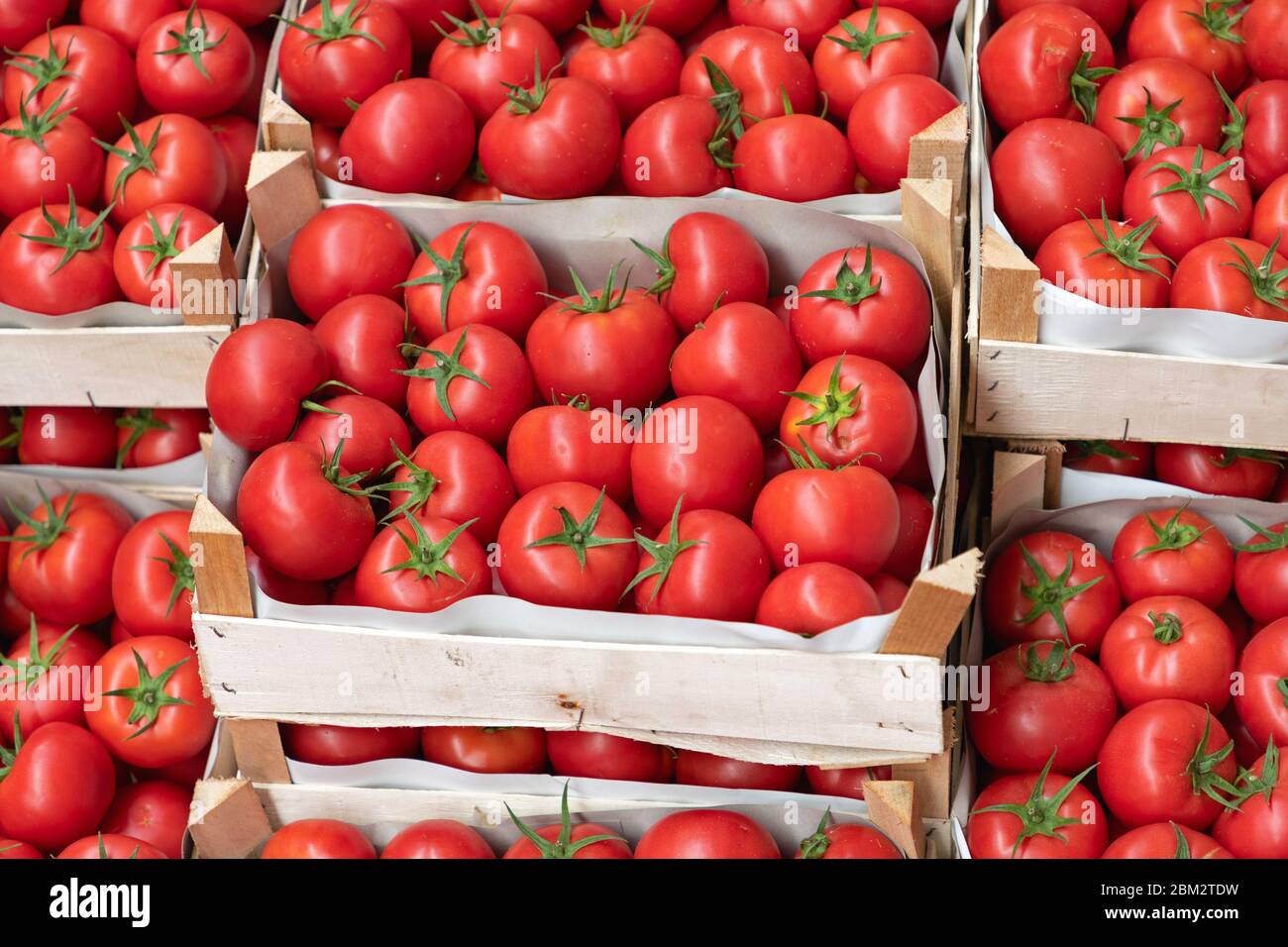 Crates of Red Tomatoe in Warehouse Storage Stock Photo - Alamy