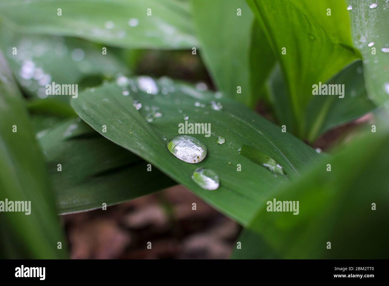 Valley texture hi-res stock photography and images - Alamy