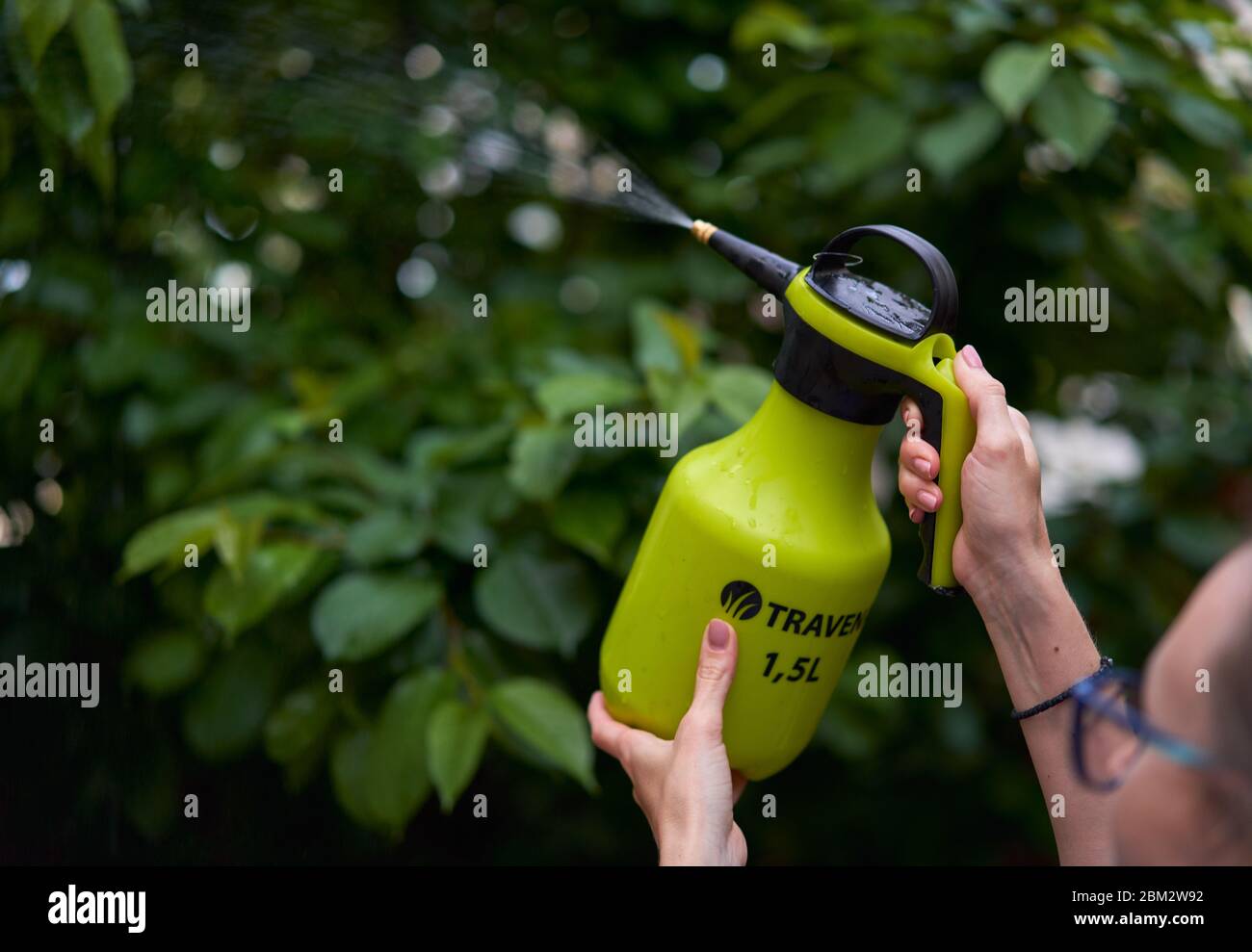 girl sprays plants in the garden Stock Photo