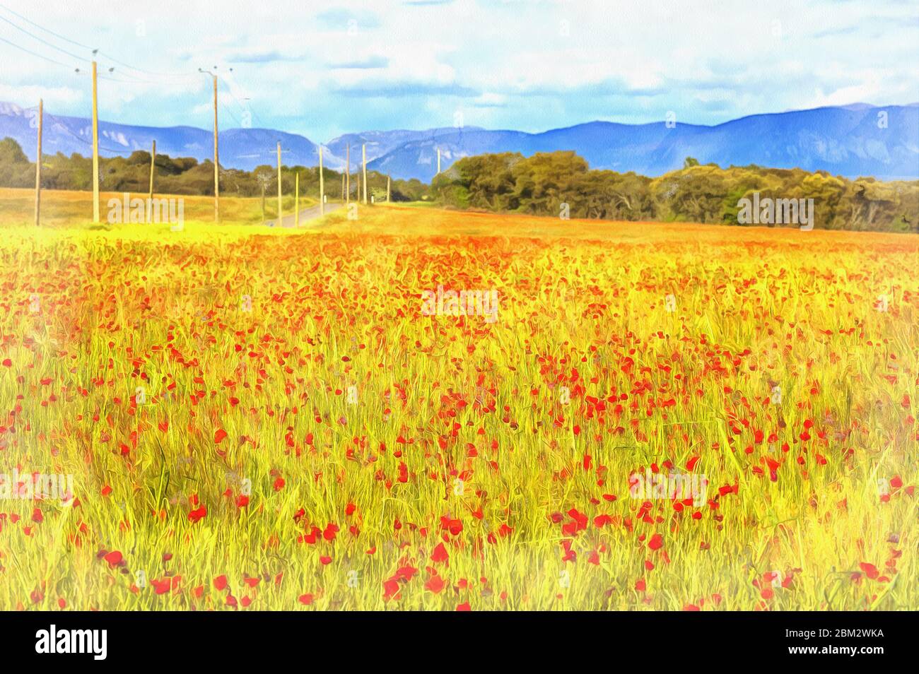 Watercolour poppies hi-res stock photography and images - Alamy