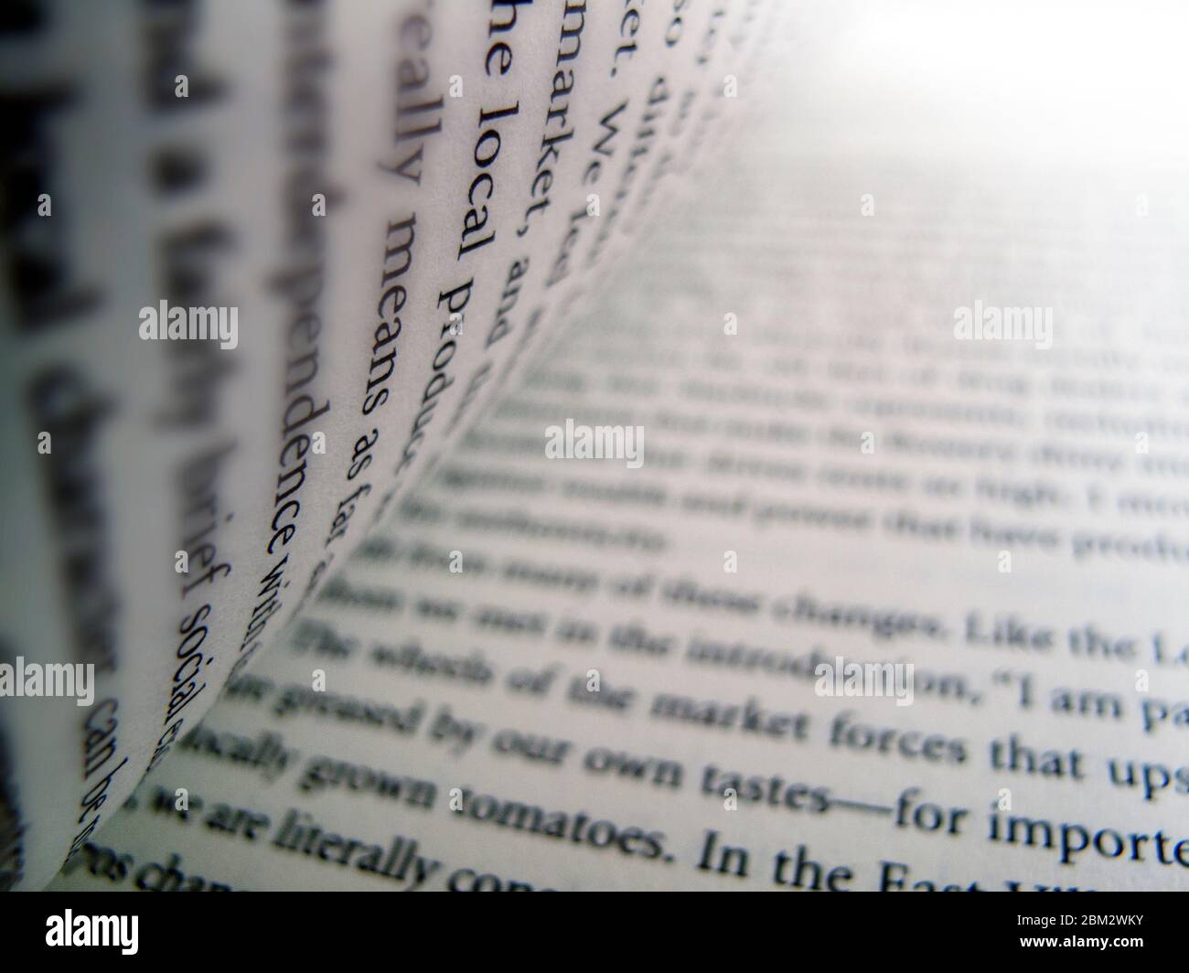 Reading a book, close-up of a book Stock Photo