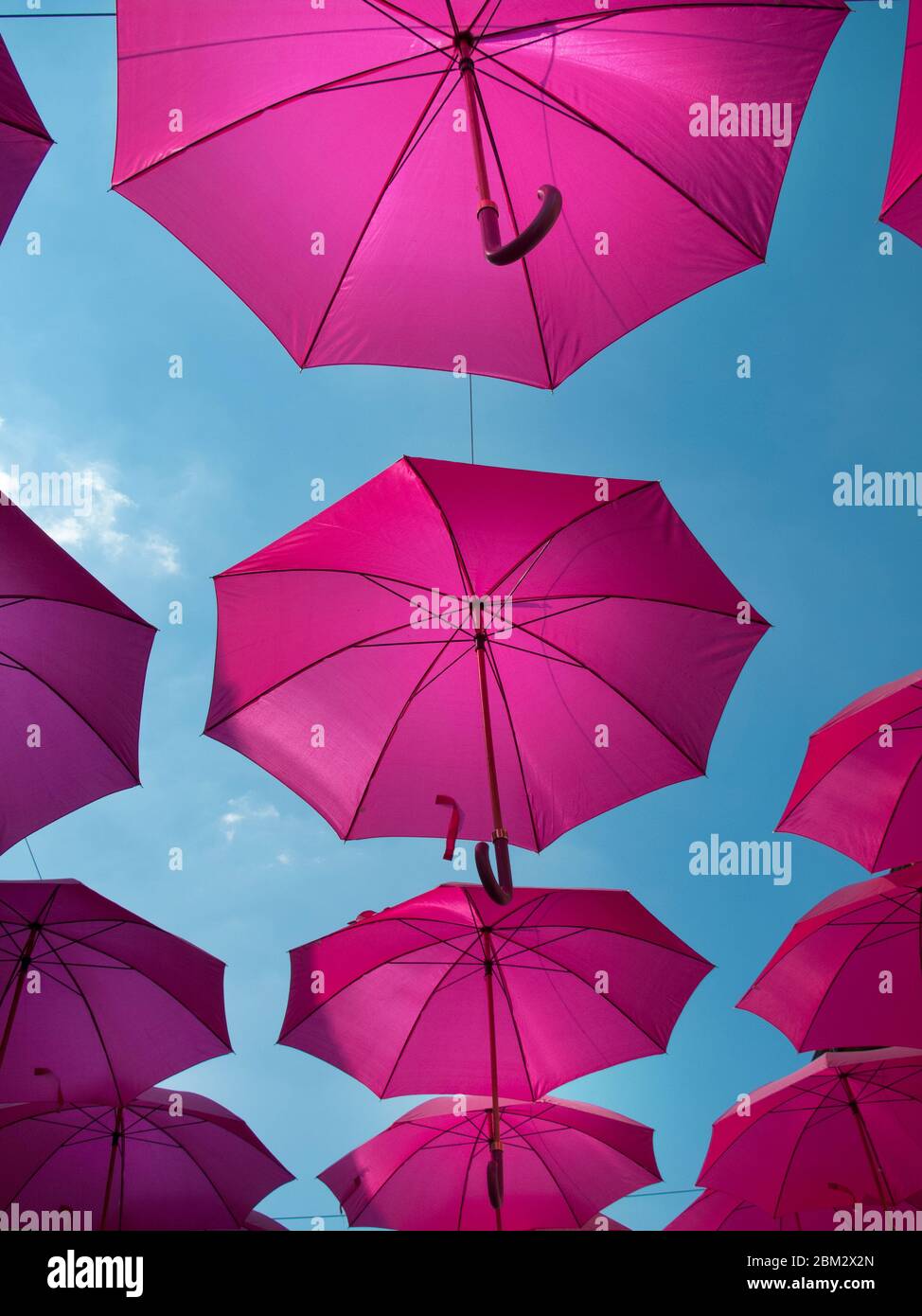 Pink umbrellas street art installation Stock Photo