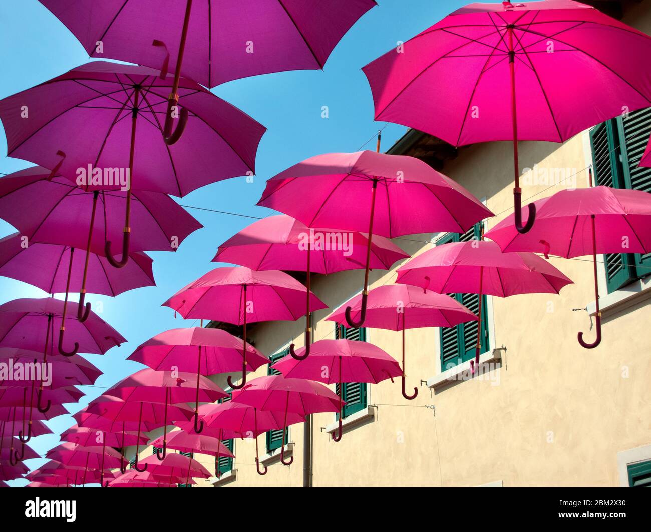 Pink umbrellas street art installation Stock Photo