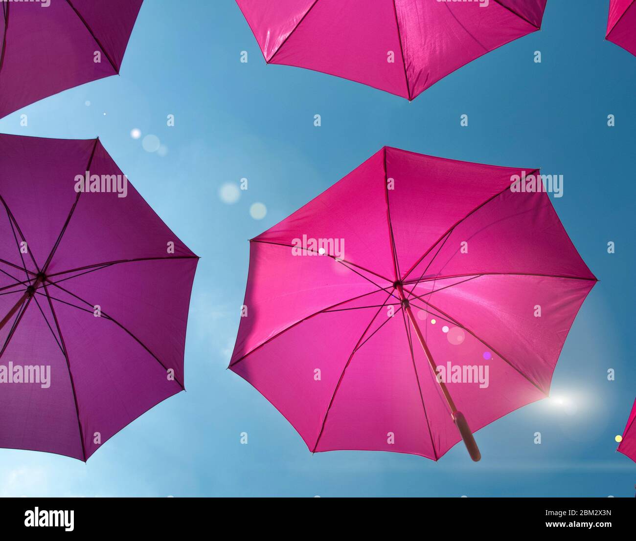 Pink umbrellas street art installation Stock Photo