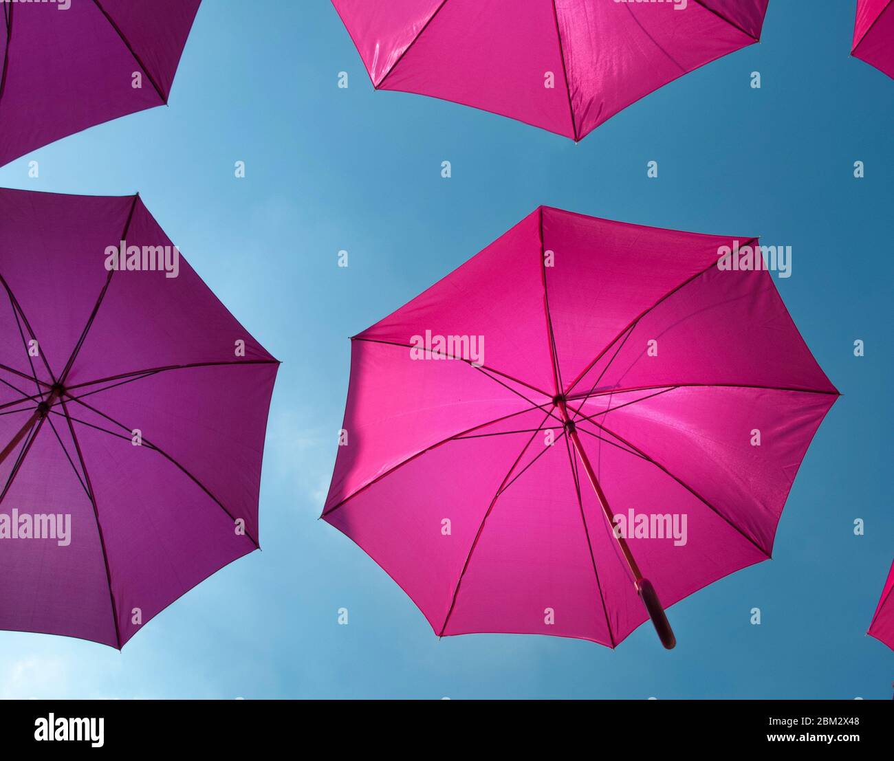 Pink umbrellas street art installation Stock Photo