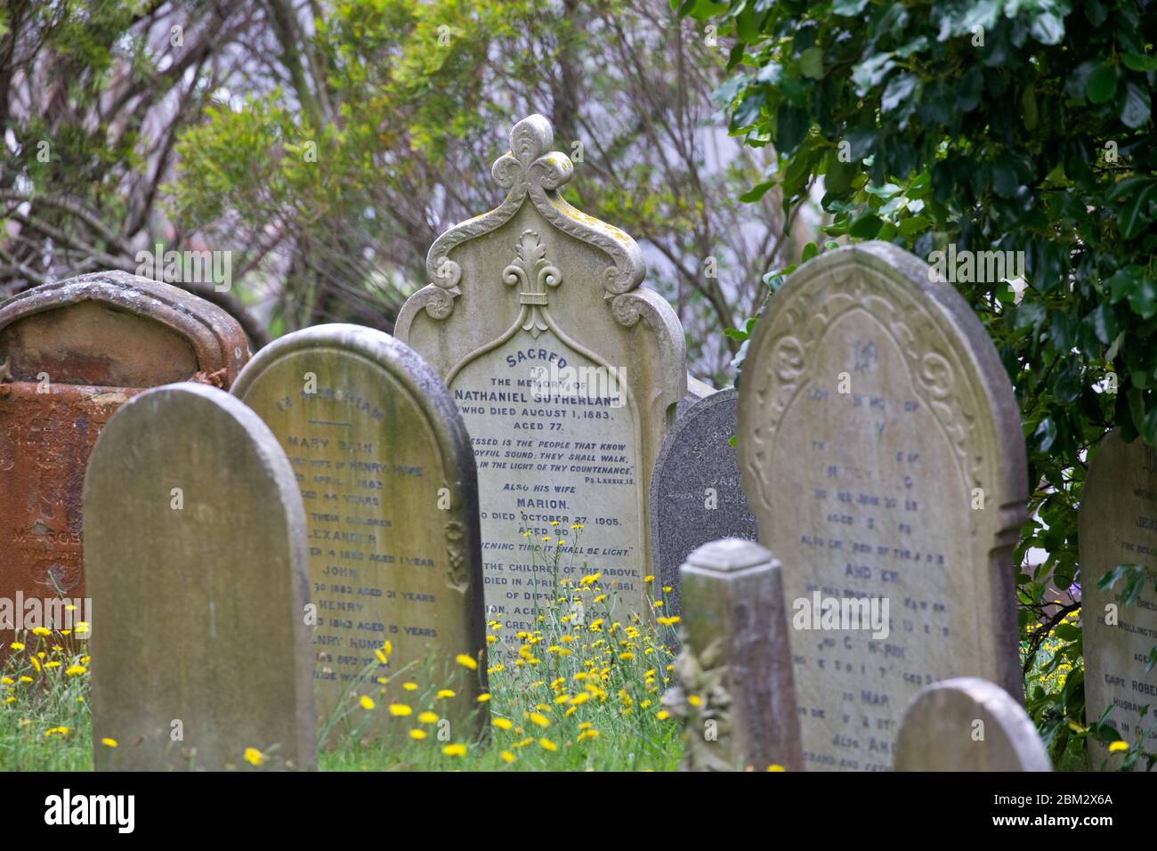 Old city cemetery in Wellington Stock Photo