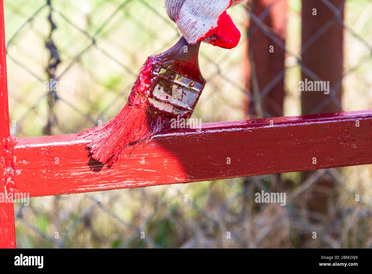 Hands in construction gloves paint a metal fence with red paint Stock