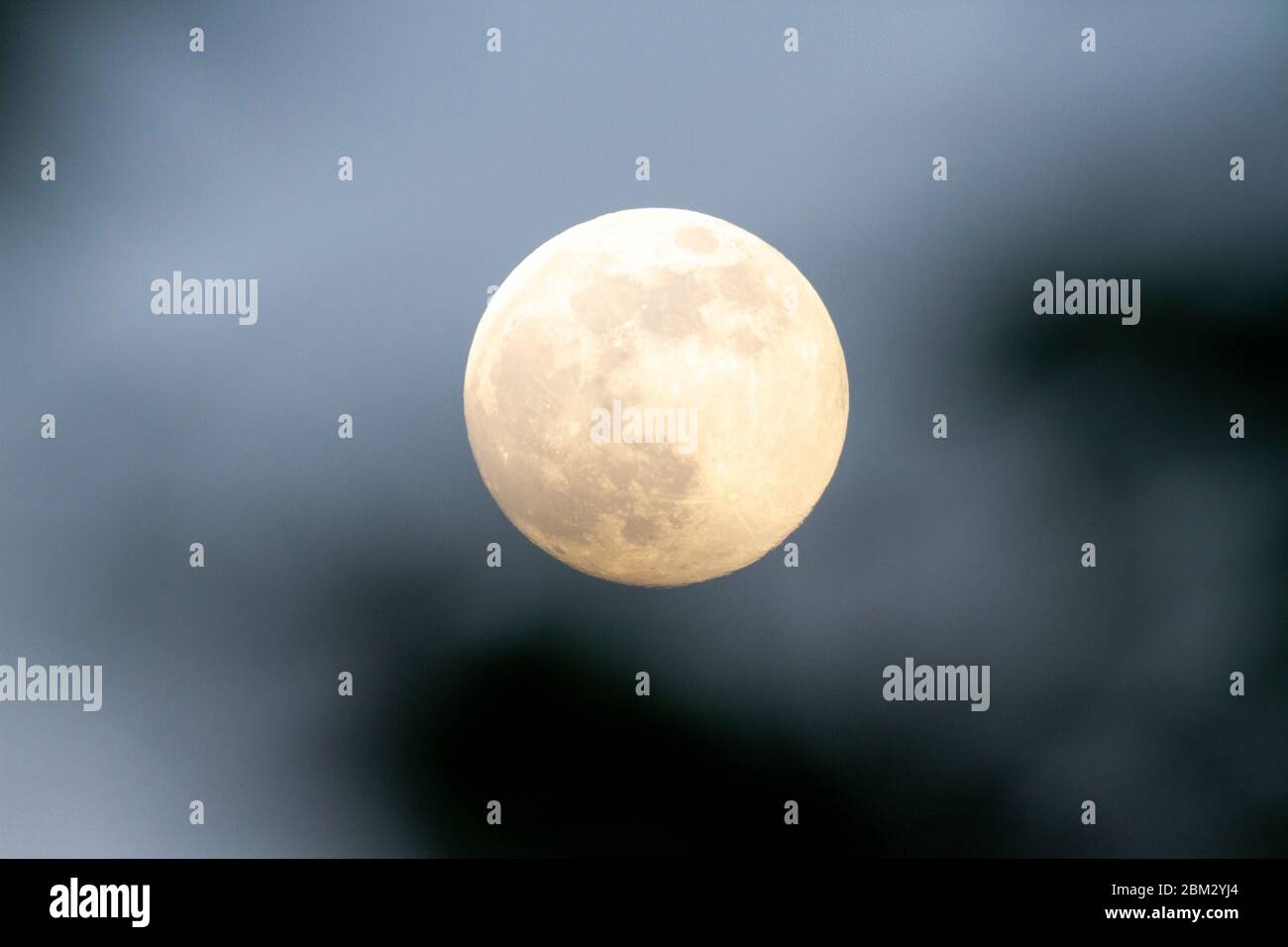 Hailsham, UK. 6th May 2020. UK weather. Clear skies allowed for a good for view of tonights full flower supermoon over Hailsham, East Sussex,UK. Credit: Ed Brown/Alamy Live News Stock Photo