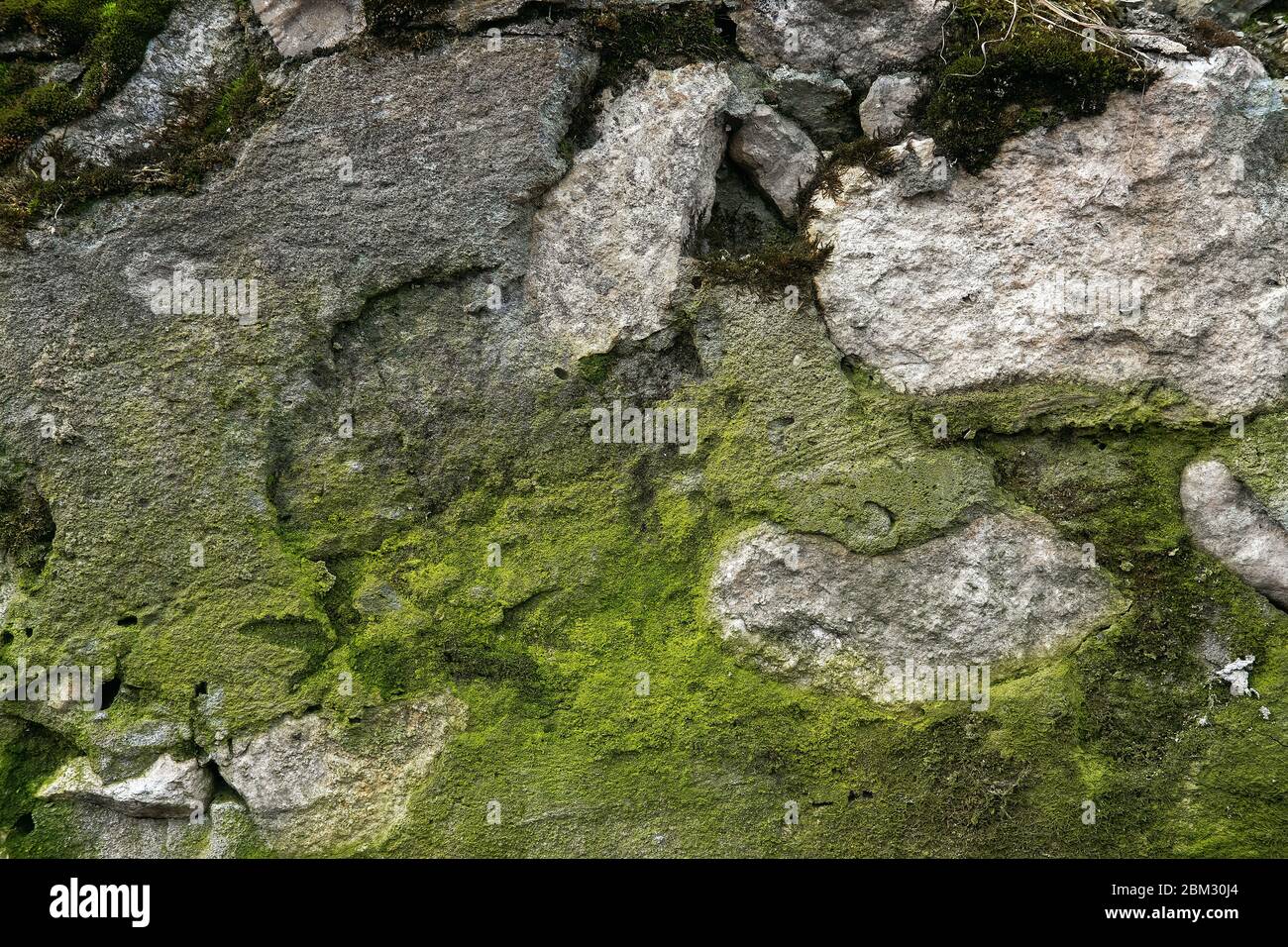 Old grunge gray textured background. Creat background with copy space Stock Photo
