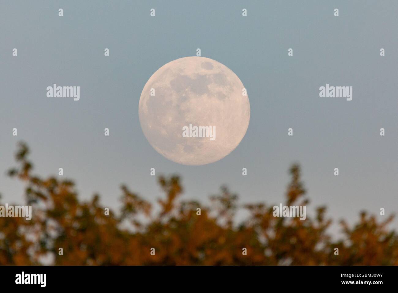 UK Weather: Clear skies making it visible to see the waxing moon rising  in mid Wales Stock Photo