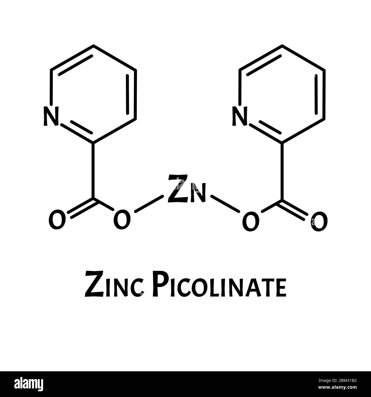 Zinc picolinate molecular chemical formula. Zinc infographics. Vector