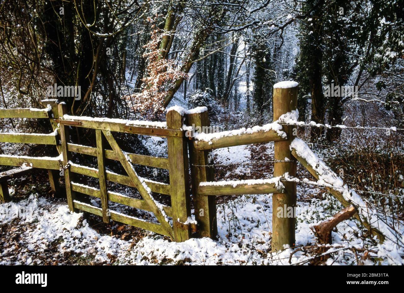 Woodland gate and fence hi-res stock photography and images - Alamy
