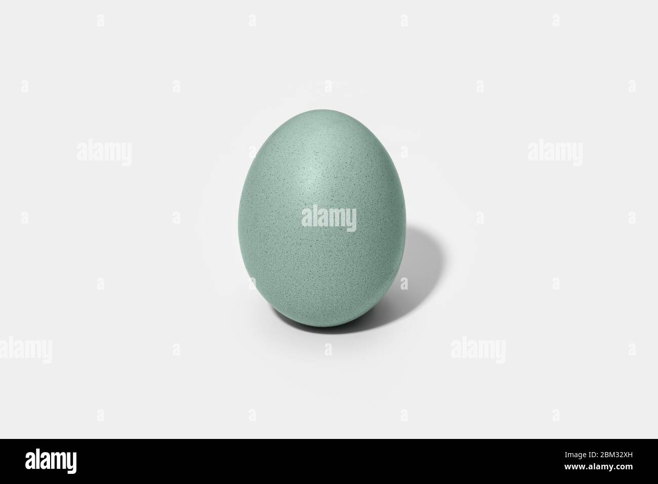 Araucana egg isolated on white background. Blue or green eggs from Araucana chicken Stock Photo