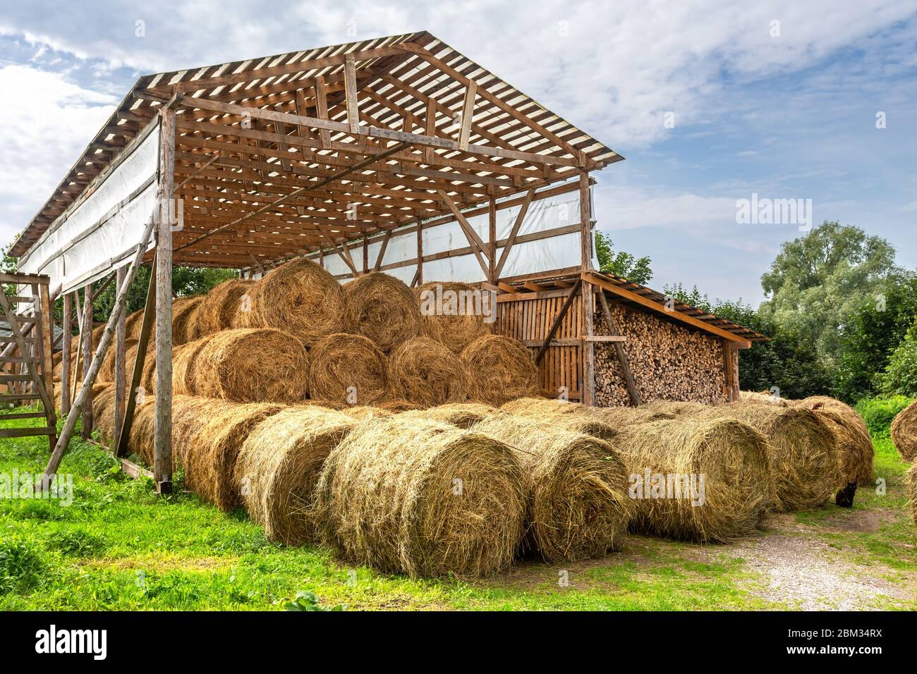 Hay storage with harvested bales of hay for cattle. Agricultural barn