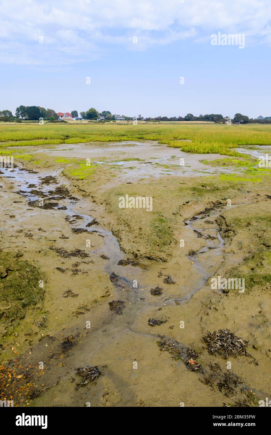 Smugglers Lane and Ferry Hard intertidal saltmarsh areas at low tide, Bosham, a small village in