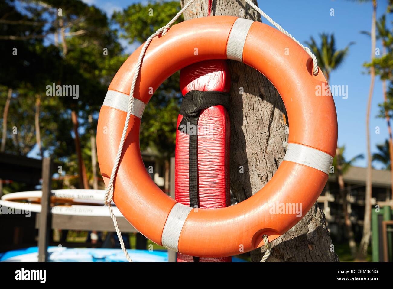 An orange life preserver buoy hangs on a dock with palm trees in the background at a remote island in Fiji Stock Photo