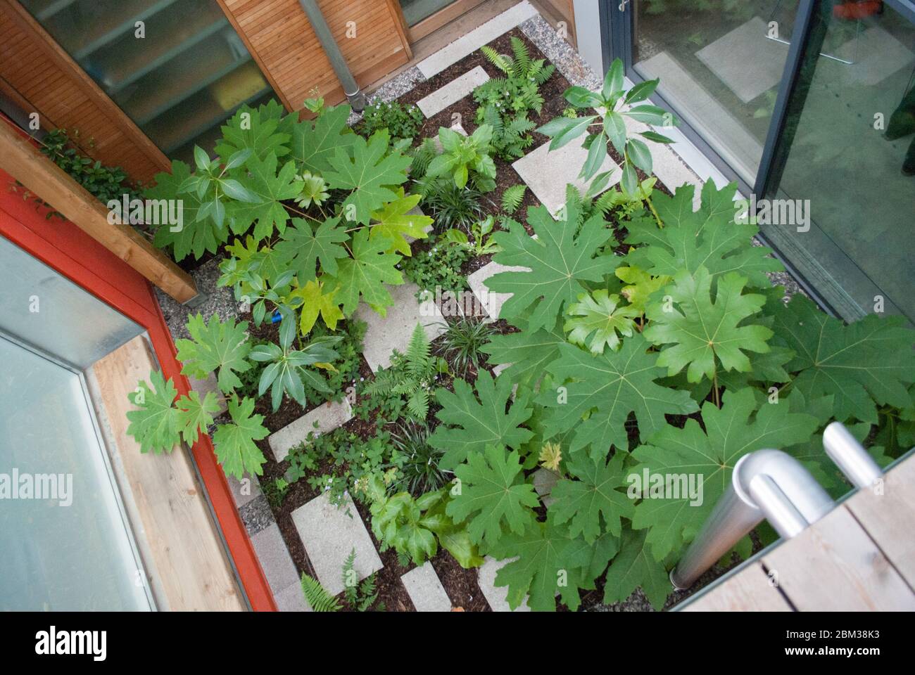 Modern Healthcare Maggie's Centre, Charing Cross Hospital, Fulham