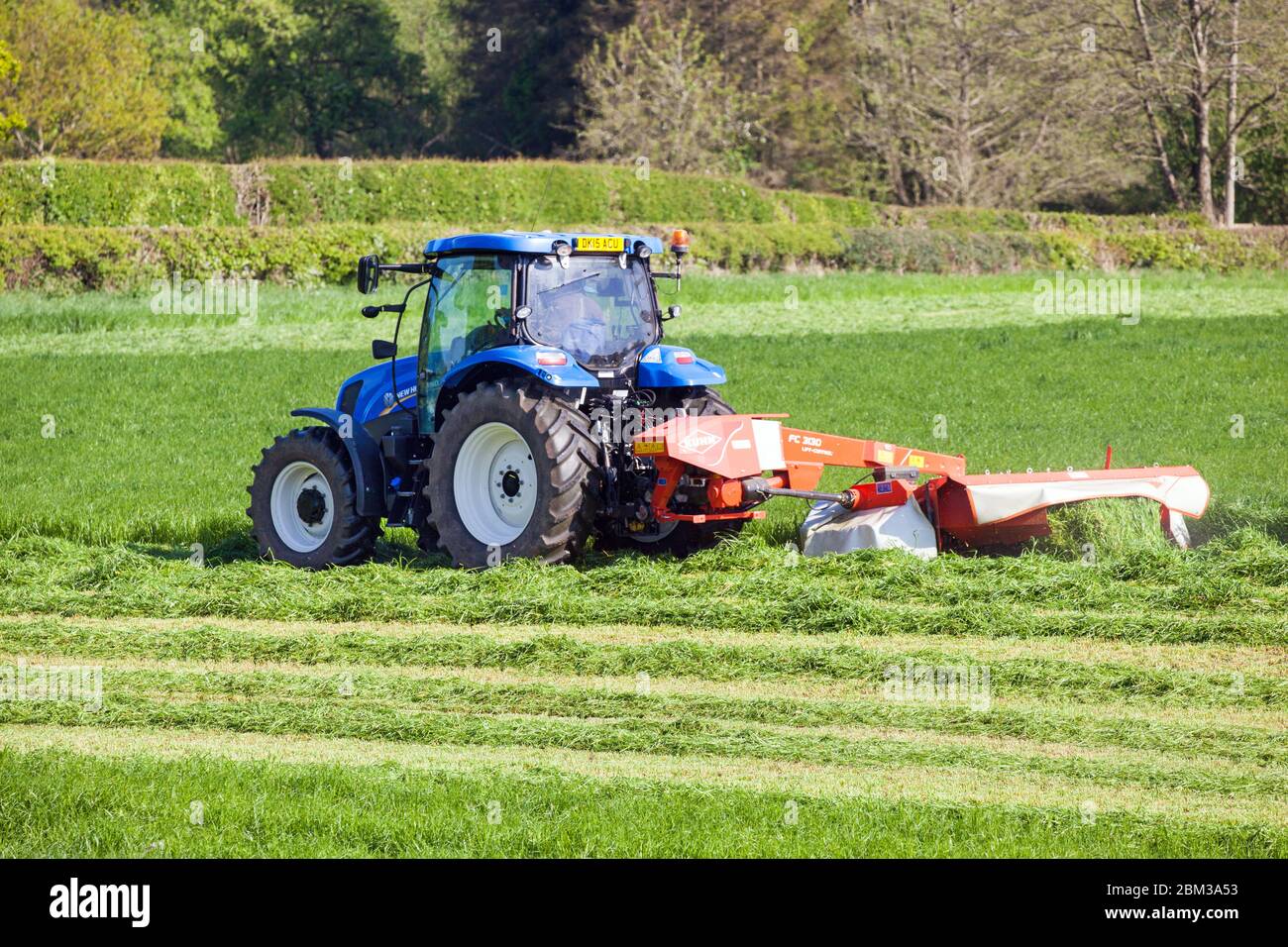 Farmer driving tractor cutting grass for silage in Cheshire farmland countryside England UK Stock Photo