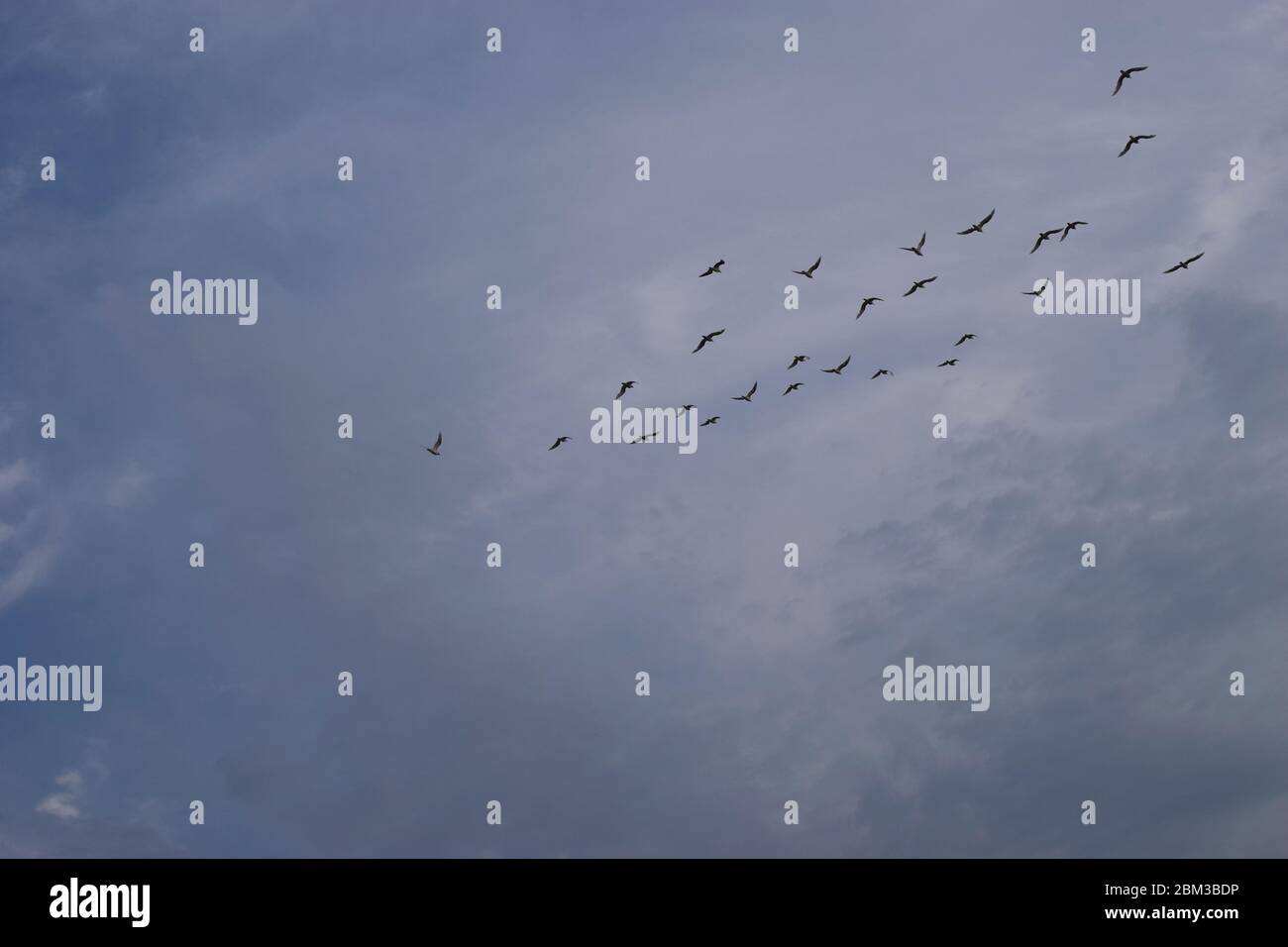 Top circling view beautiful sunny hi-res stock photography and images ...