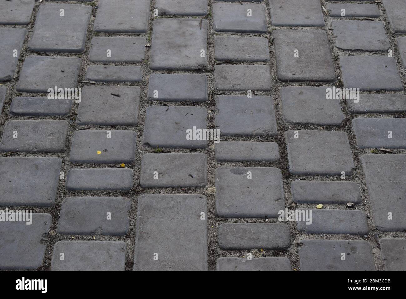 Brick pavement. Gray cobblestone pavement, background photo with perspective effect Stock Photo