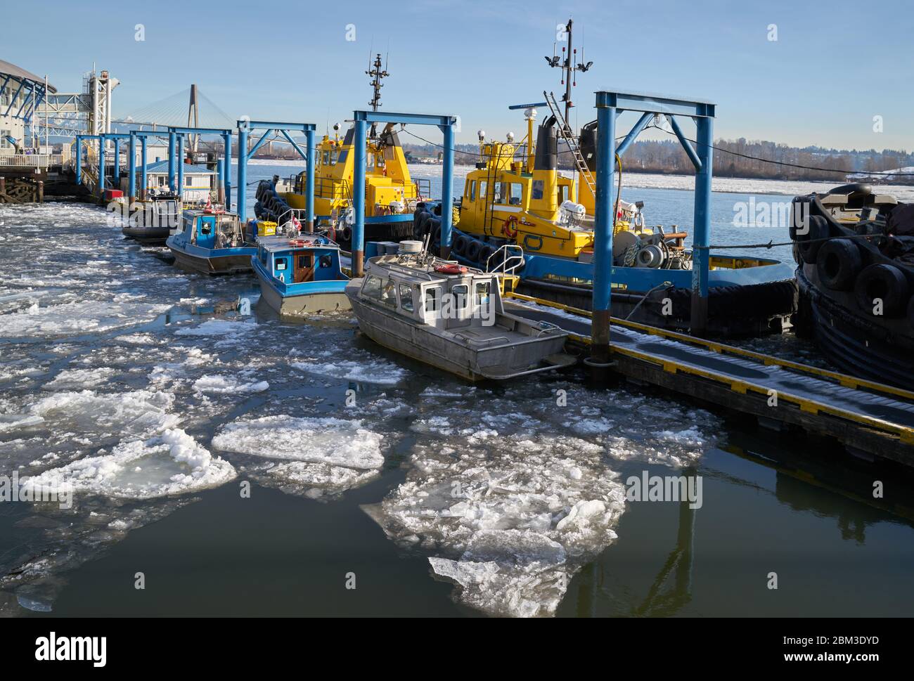 Fraser River Tugboats. Tugboats at dock on the Fraser River in New Westminster. Stock Photo