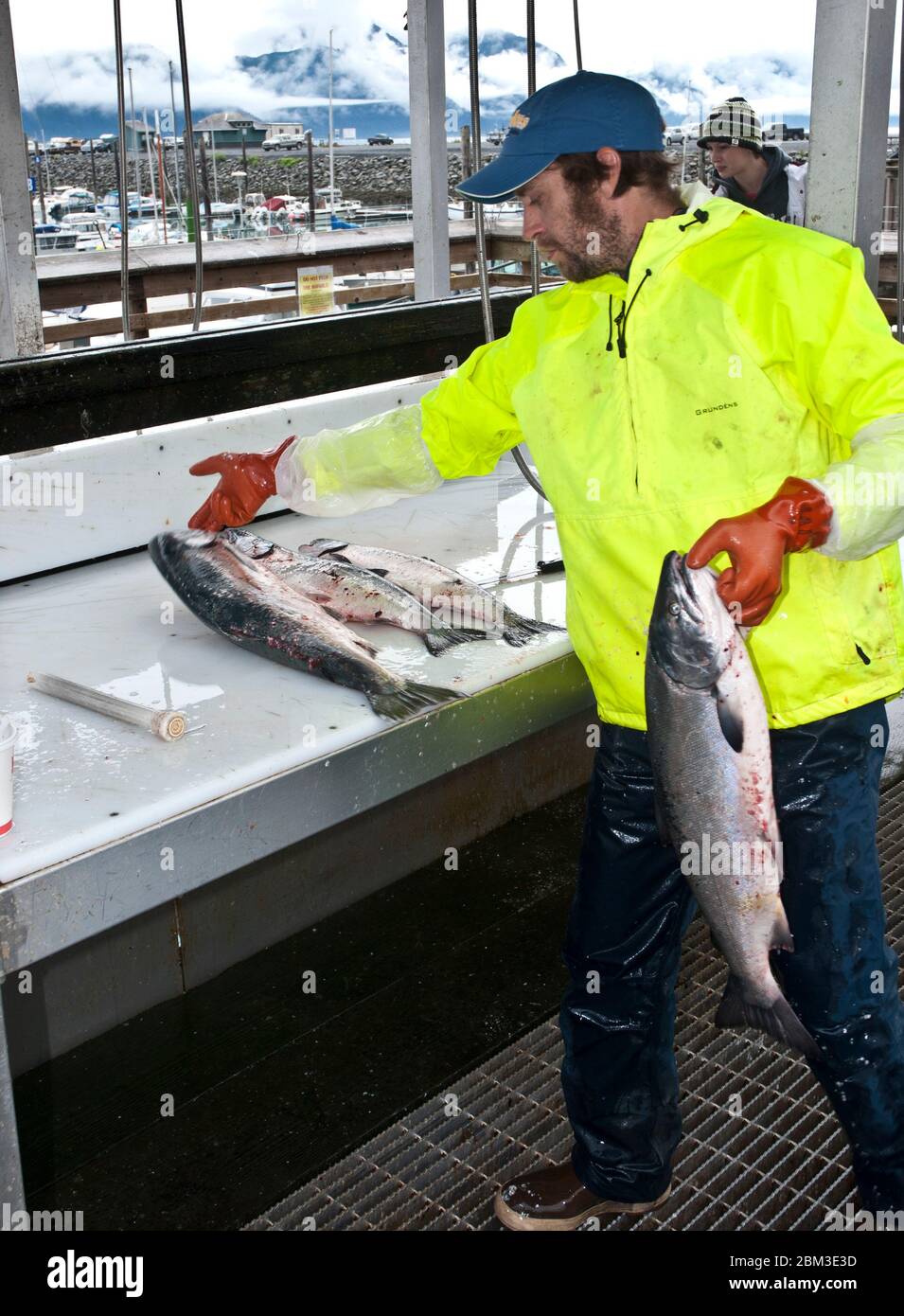 man filleting salmon at fish cleaning station Stock Photo - Alamy