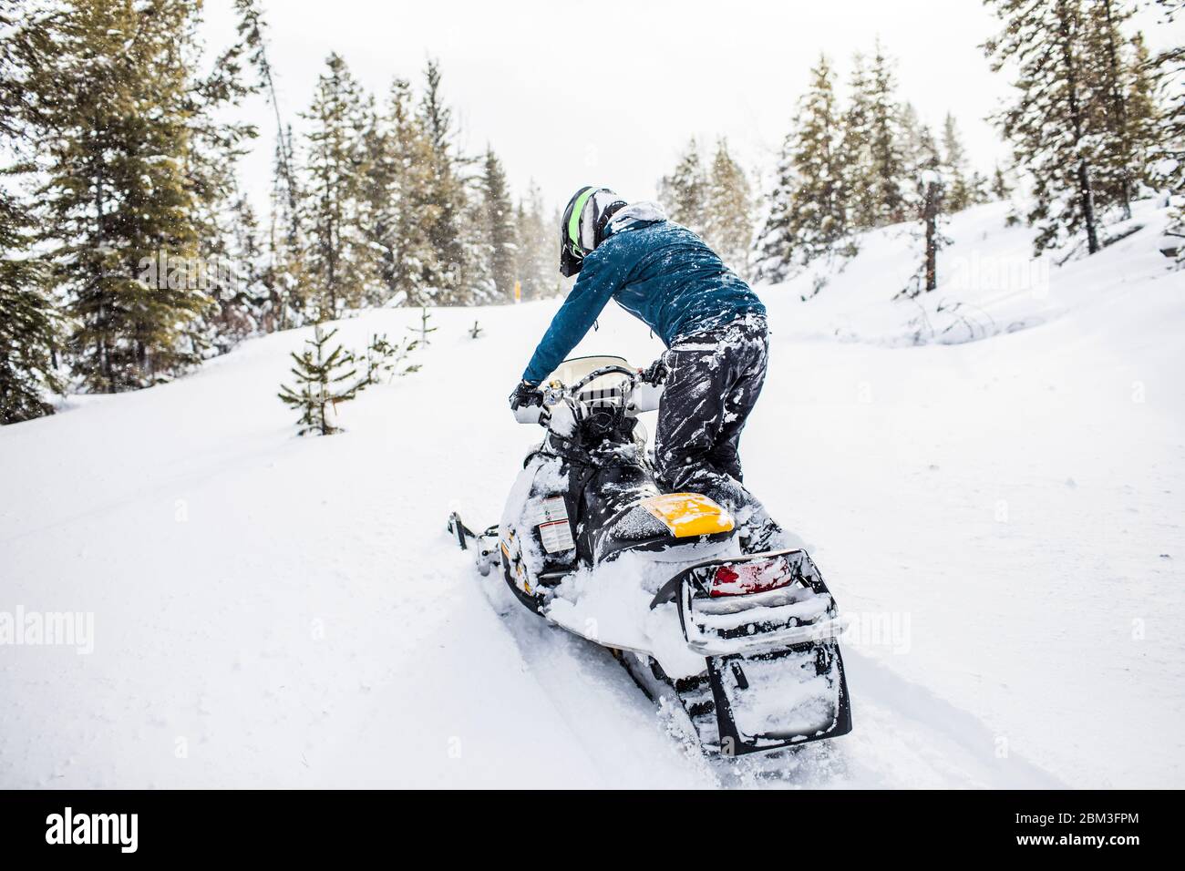 Rear view of man snowmobiling in winter weather. Stock Photo