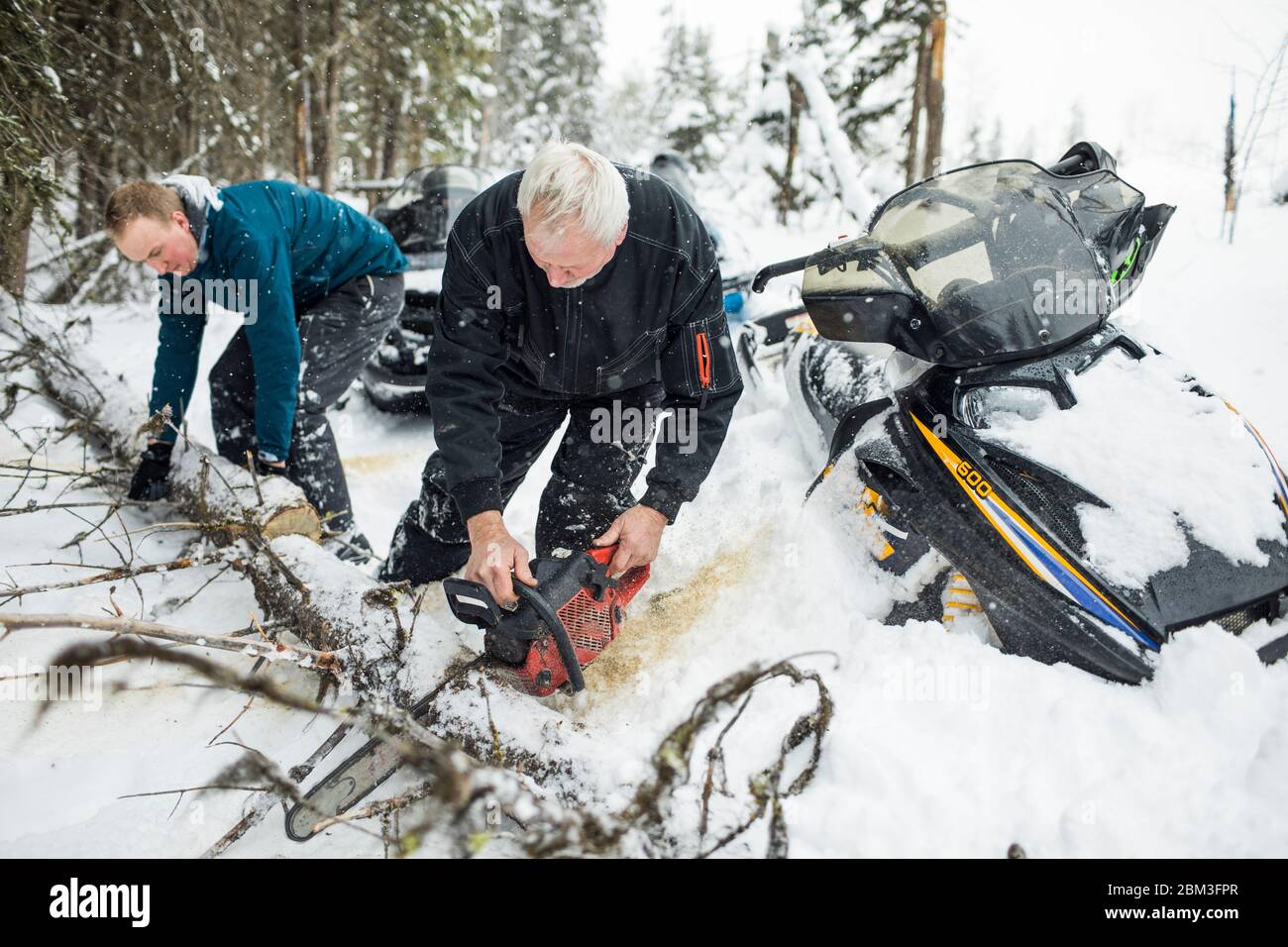 Elderly man and son using chainsaw to clear trails while snowmobiling. Stock Photo