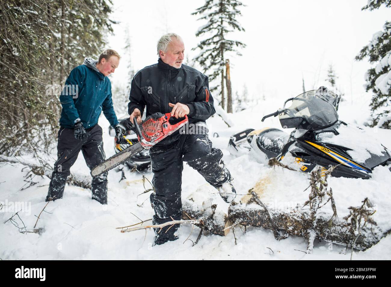 Retired man and son using chainsaw to clear trails while snowmobiling. Stock Photo