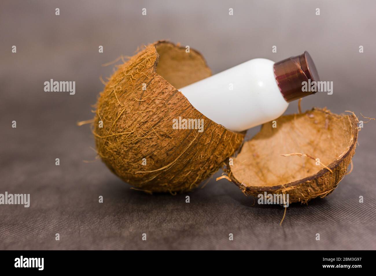 Bottle sticks out in a coconut shell on gray background. Fresh organic