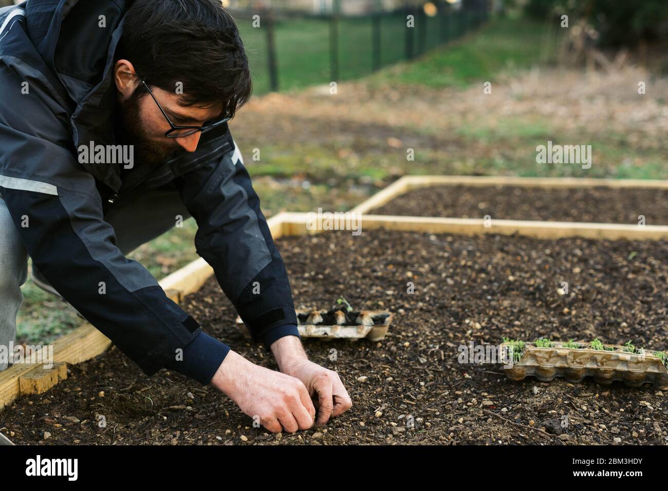 Early broccoli hires stock photography and images Alamy