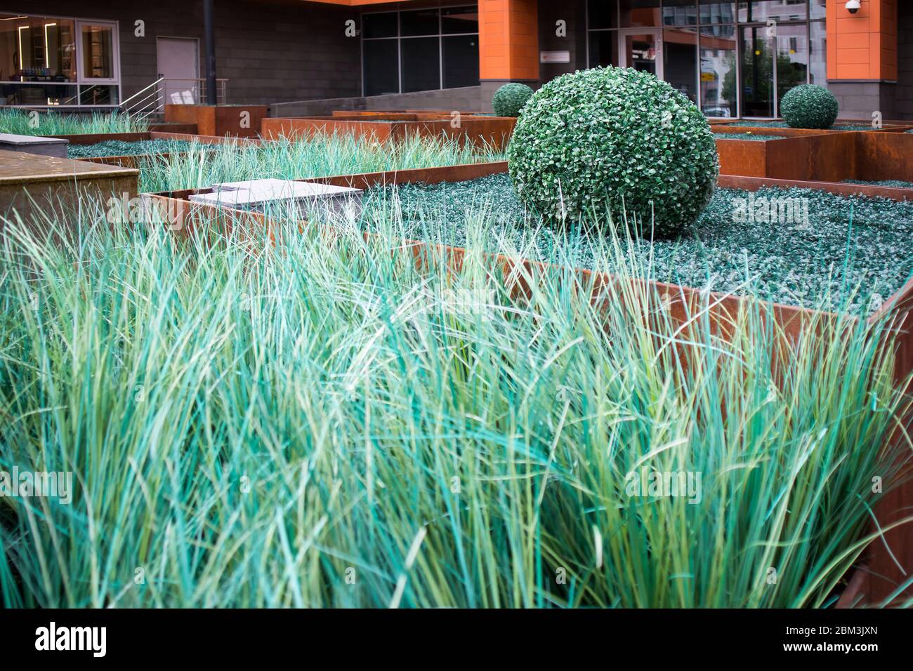 Courtyard with a garden of artificial grass and plants. Boxwood and