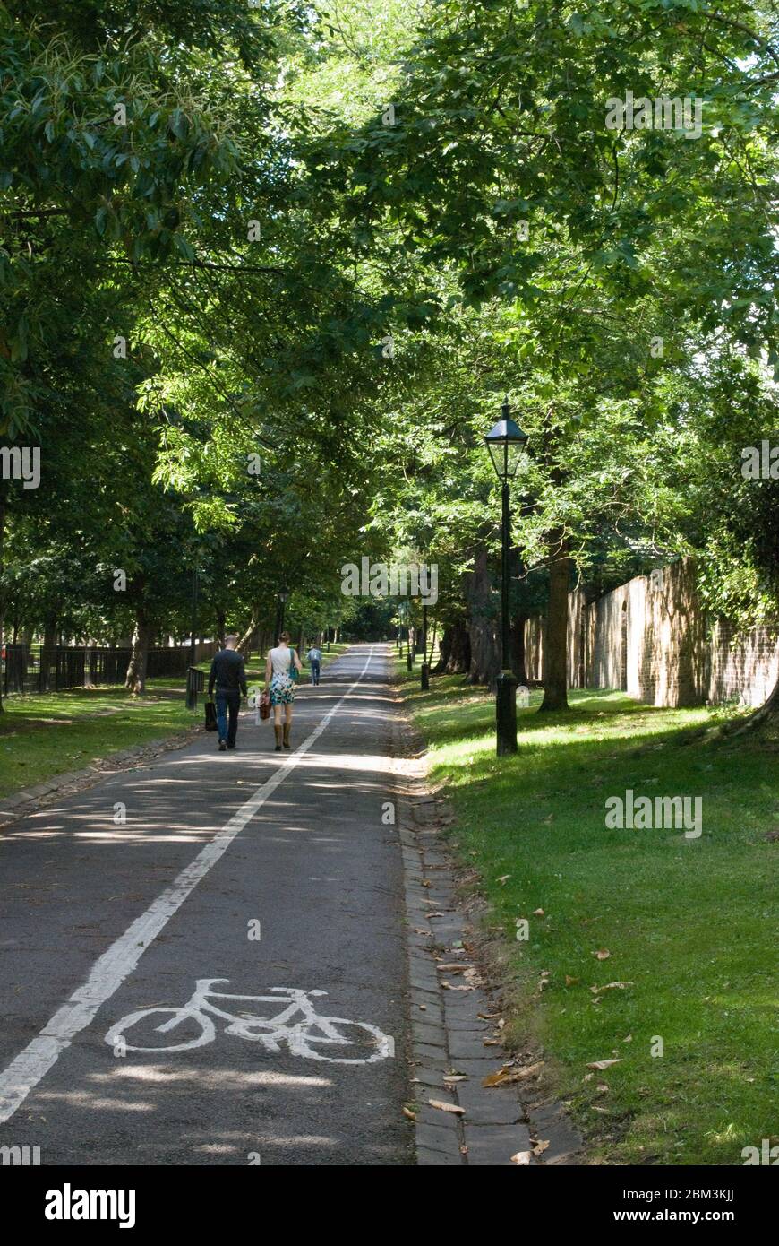 Bicycle Lane in Holland Park, Kensington, London W8 6LU Stock Photo