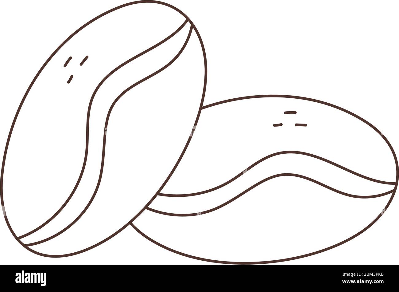 coffee beans grain isolated icon white background vector illustration ...
