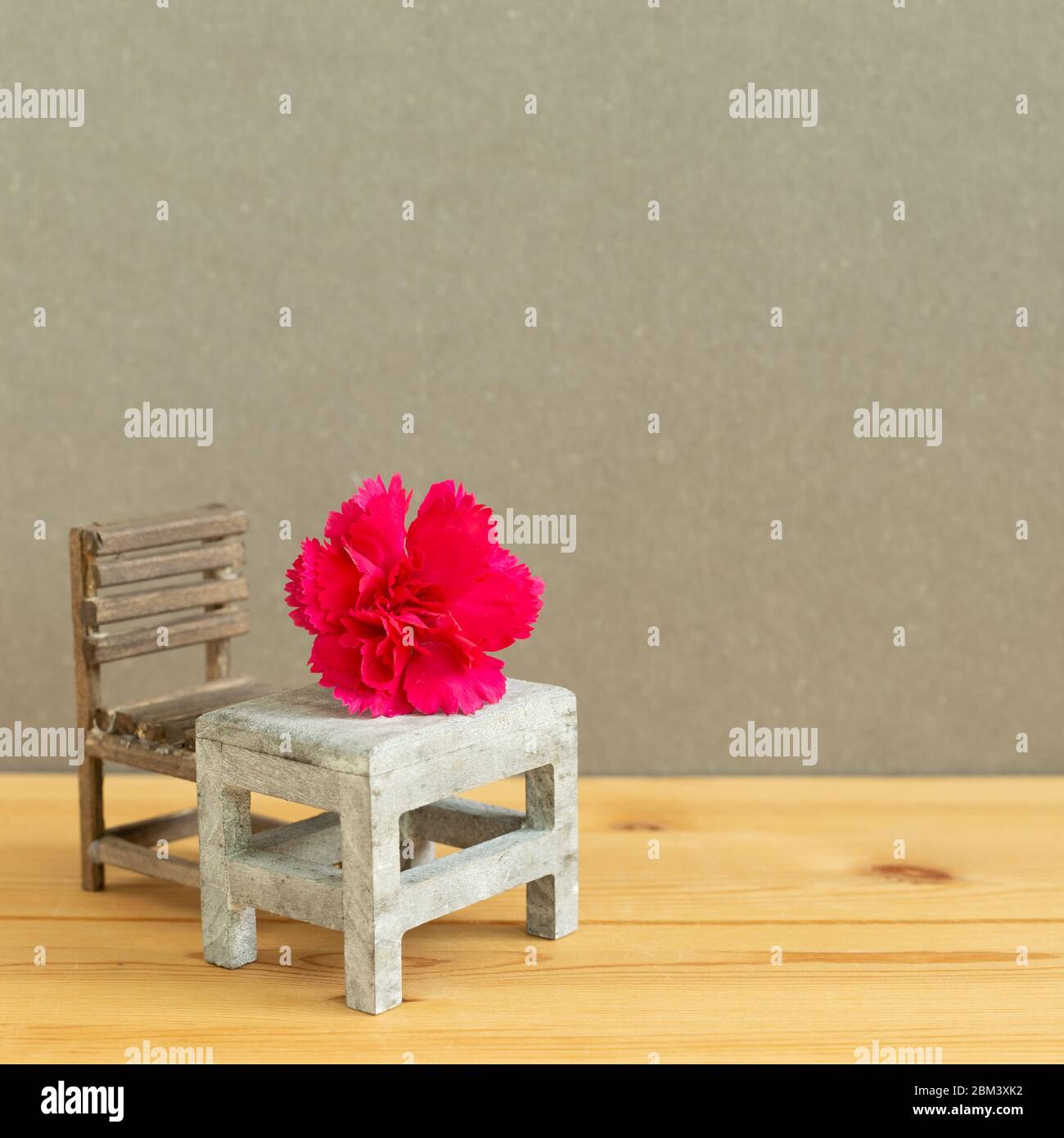 Pink spray carnation flower on school desk with empty chair. Teacher's day concept, copy space Stock Photo
